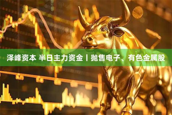 泽峰资本 半日主力资金丨抛售电子、有色金属股