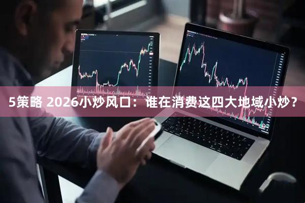 5策略 2026小炒风口：谁在消费这四大地域小炒？